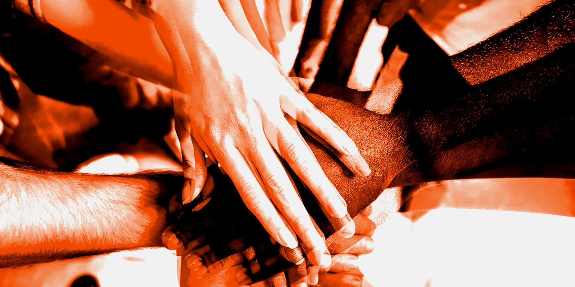 26/27 – Festival Diversité