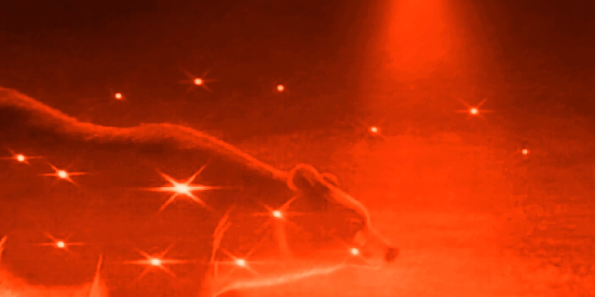  26/27 – THE BEAR 